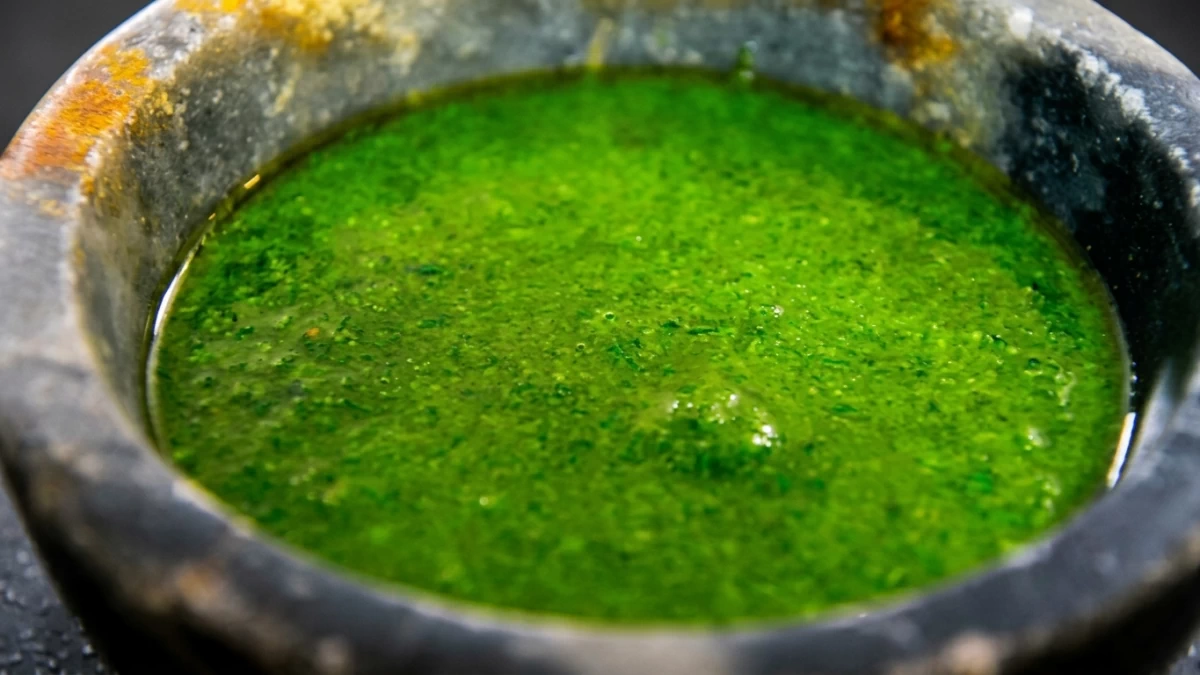 Le pesto maison au basilic et huile de sésame de Philippe ETCHEBEST