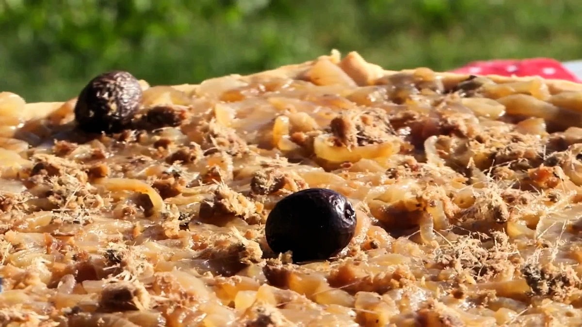Pissaladière provençale irrésistible aux olives de Nyons et poudre d&rsquo;anchois grillés